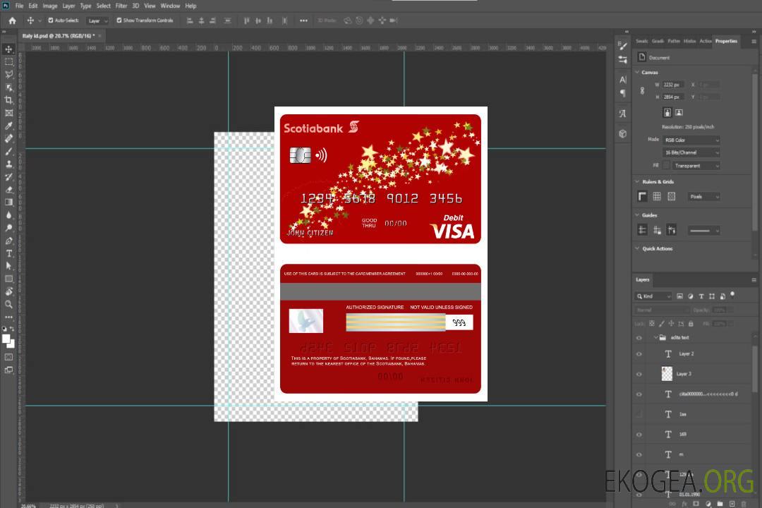 Débit de visa bancaire Bahamas Scotia template Débit de visa bancaire Bahamas Scotia template